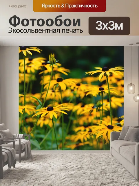 Фотообои Coneflower цветы цветут желтый