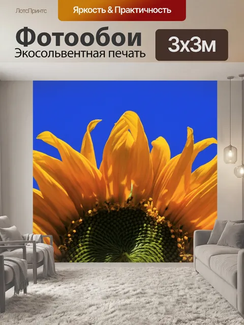 Фотообои подсолнечник против голубого неба