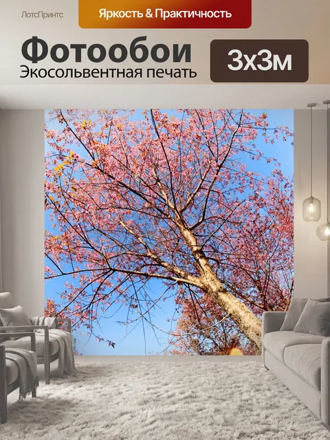 Фотообои Prunus cerasoides, дикая гималайская виш