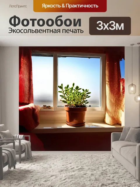 Фотообои крассула яйцевидная, разместившаяся на подоконнике с ясным небом за окном, привлекает внимание своей…