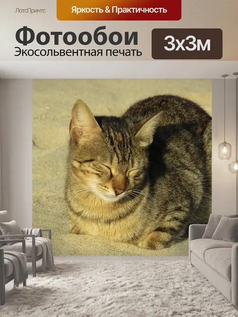 Фотообои Кошка