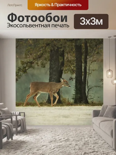 Фотообои Белохвостый пыжик у туманного пруда 2