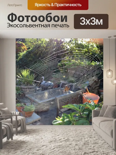 Фотообои Паук