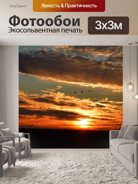Фотообои Большой баклан