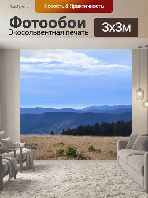 Фотообои Черный лес