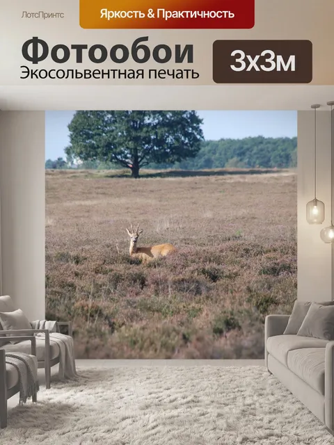 Фотообои Олень