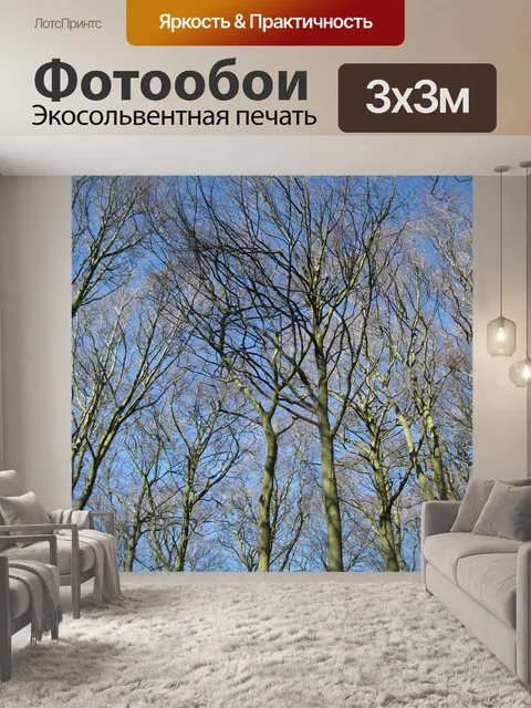 Фотообои Небо