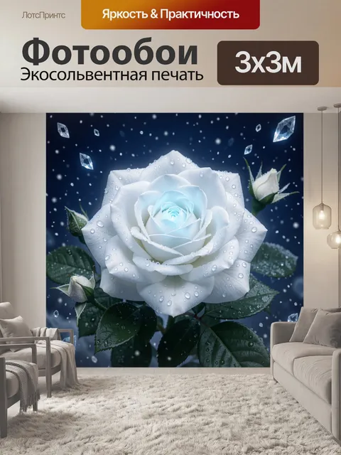 Фотообои Белая роза со льдинками