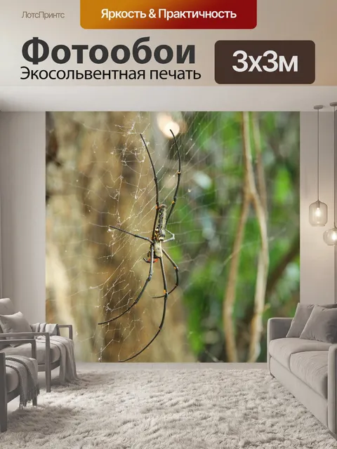 Фотообои Золотой шелк паука