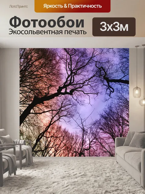 Фотообои Деревья лес закат природа