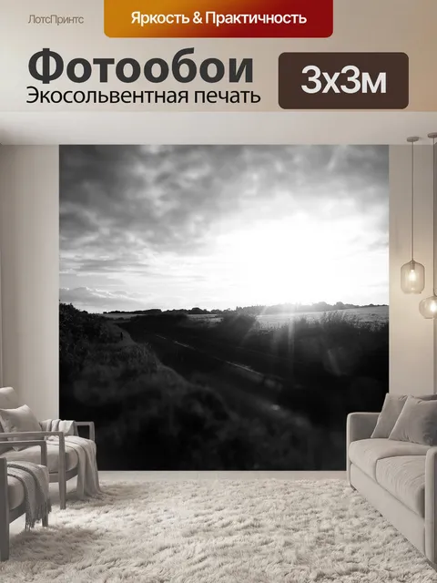 Фотообои Черное и белое