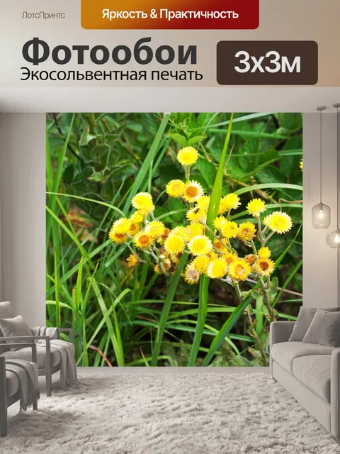 Фотообои желтые полевые цветы на лугу