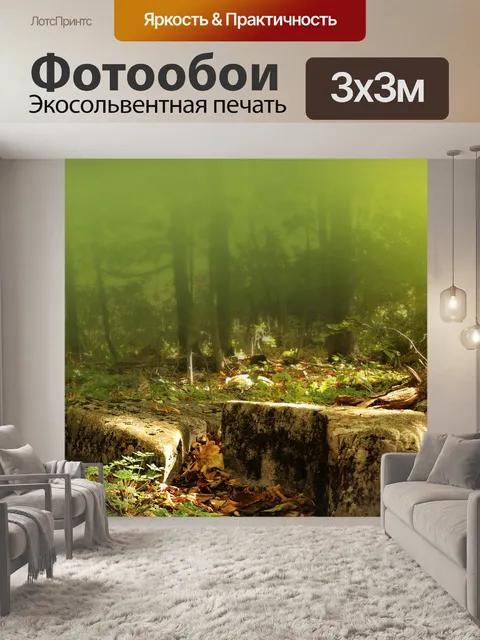 Фотообои каменистый грунт в лесу