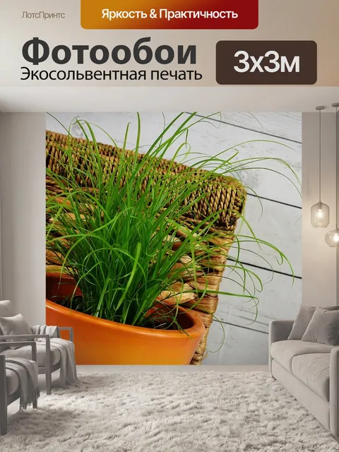 Фотообои Трава
