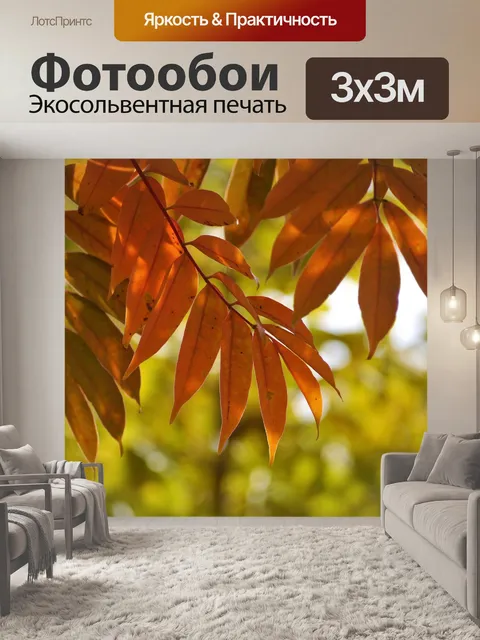 Фотообои Желтые листья