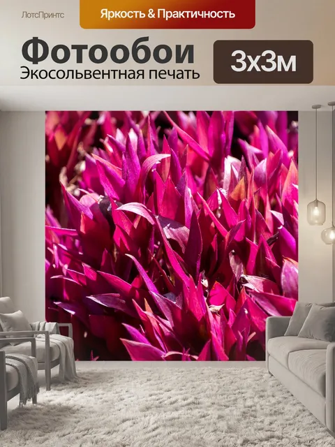 Фотообои Роза