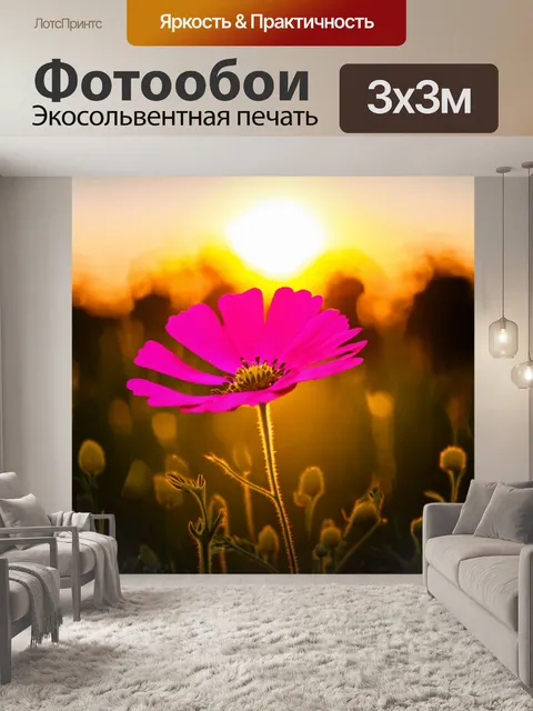 Фотообои розовый цветок на фоне заката
