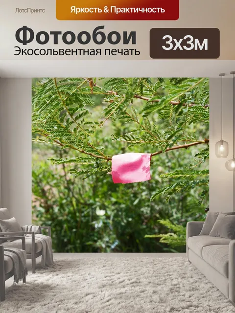 Фотообои тропа, отмеченная розовой тканью