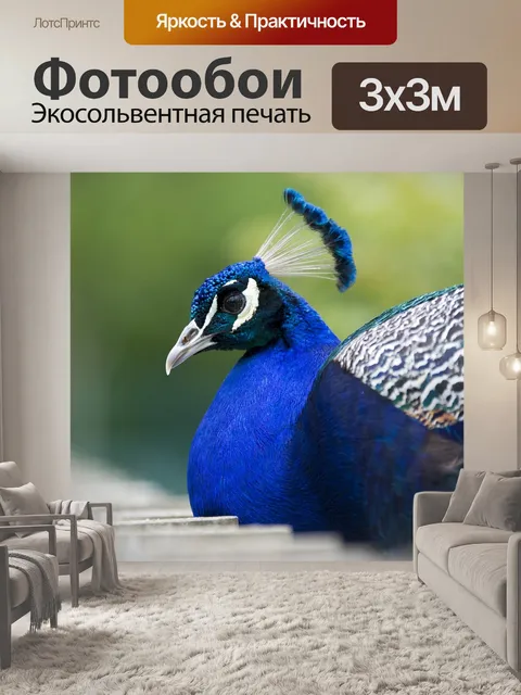Фотообои Павлин