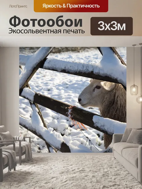 Фотообои Овцы в снегу