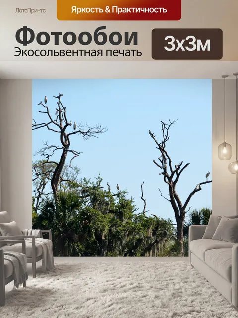 Фотообои Дерево Аисты в диких условиях