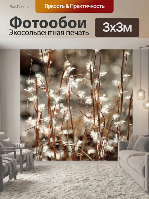 Фотообои Белая тафта-трава зимой