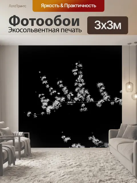 Фотообои Белые цветы на ветке