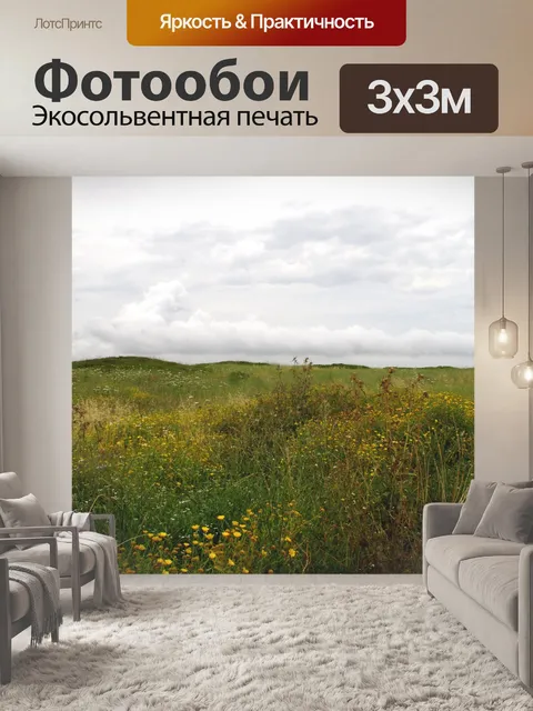 Фотообои Полевой луг с облаками