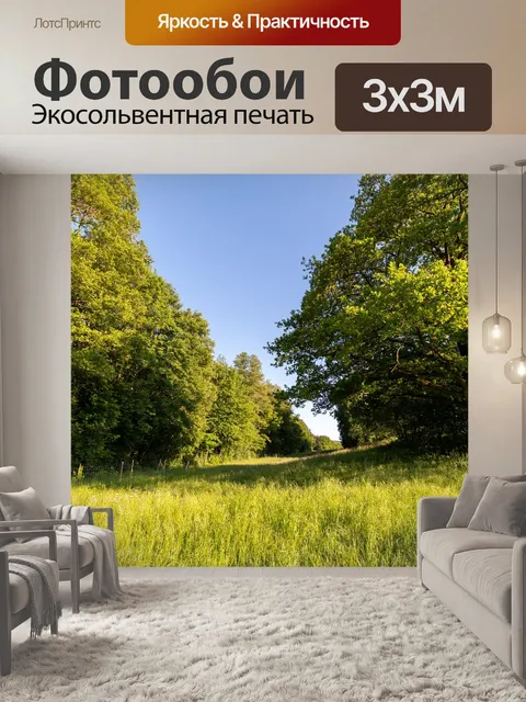 Фотообои Опушка леса