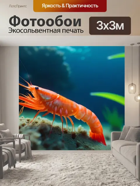 Фотообои яркие креветки на фоне подводного мира
