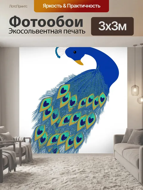 Фотообои Павлин Птица Clipart