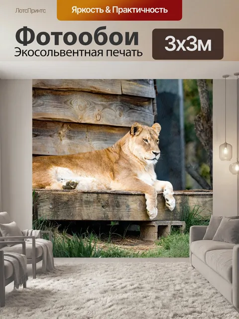 Фотообои Лев