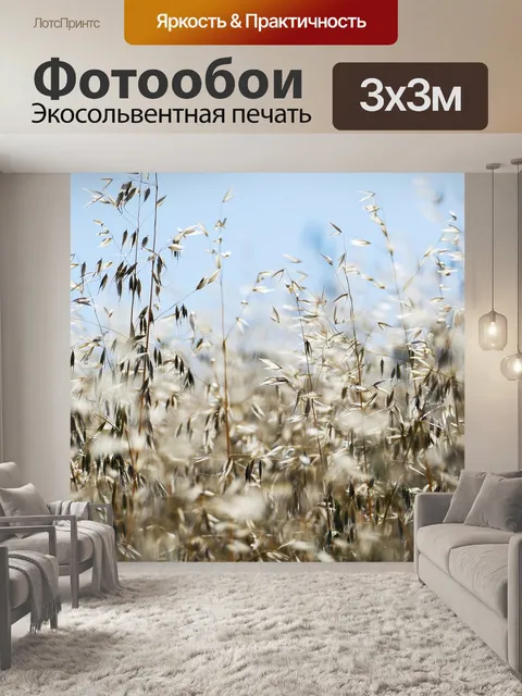 Фотообои Пшеница