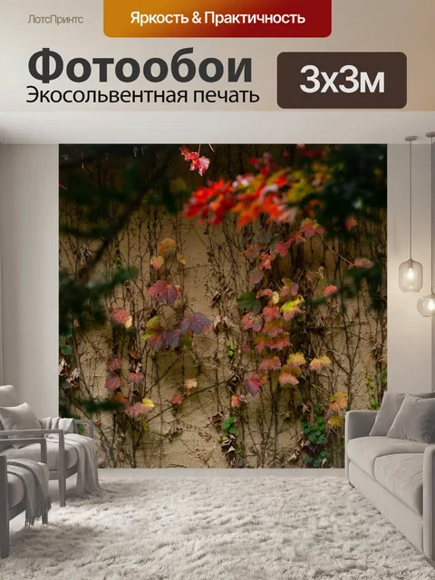 Фотообои Стена
