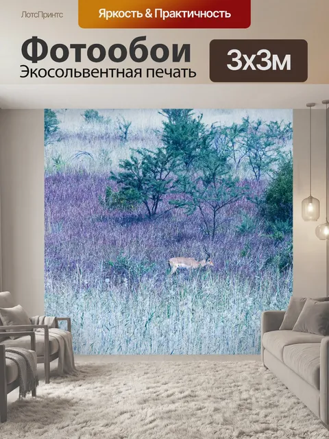 Фотообои антилопа импала в дикой траве