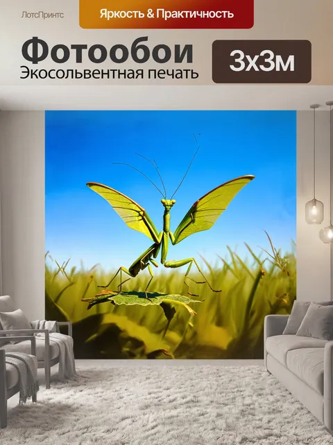 Фотообои на фоне ясного голубого неба