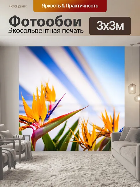 Фотообои Райская птица