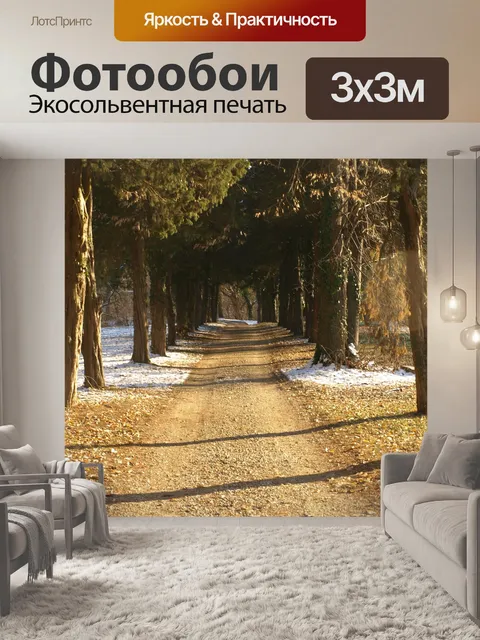 Фотообои Дорожка