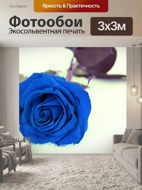 Фотообои Синяя роза
