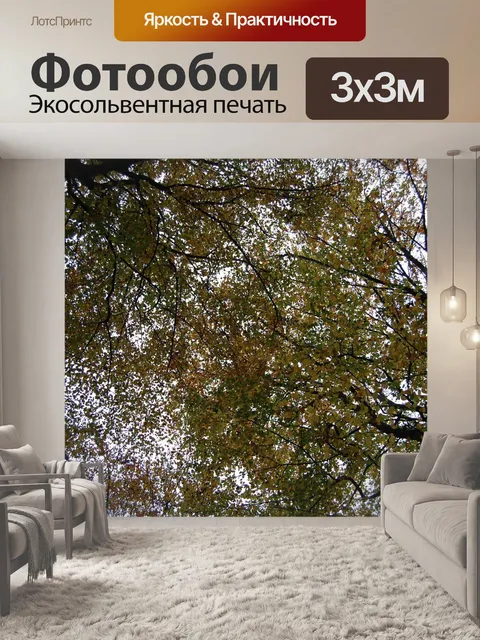 Фотообои Лес