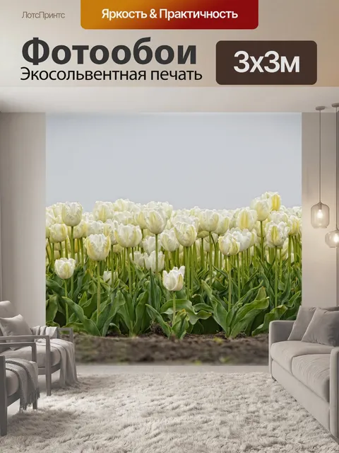 Фотообои Белые тюльпаны