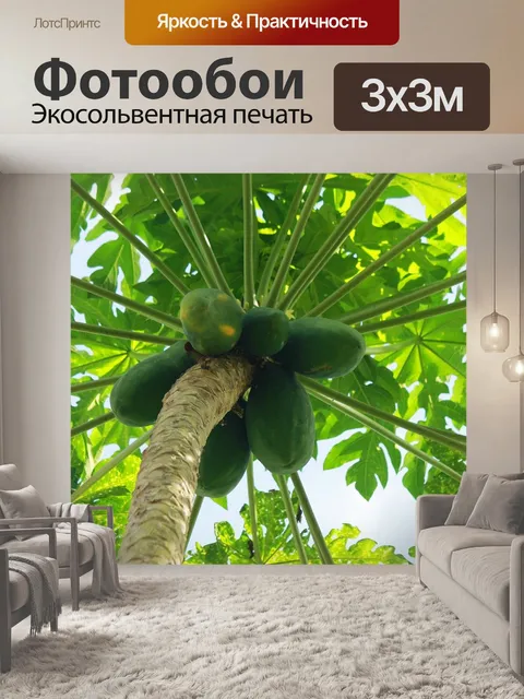 Фотообои Дерево