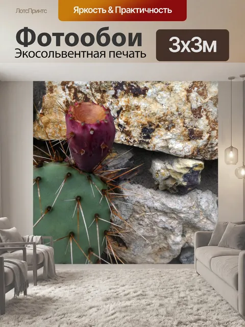 Фотообои кактус опунция