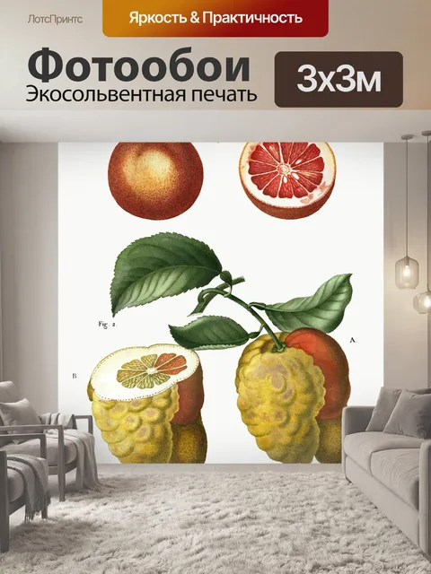 Фотообои Лимонный апельсин винтажный старый
