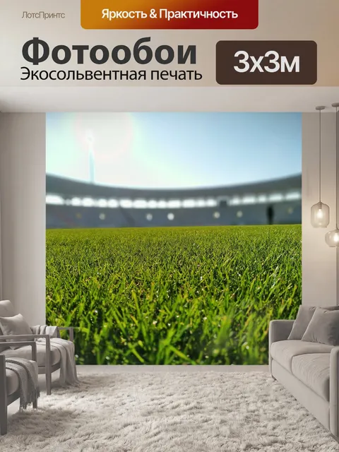 Фотообои Стадион