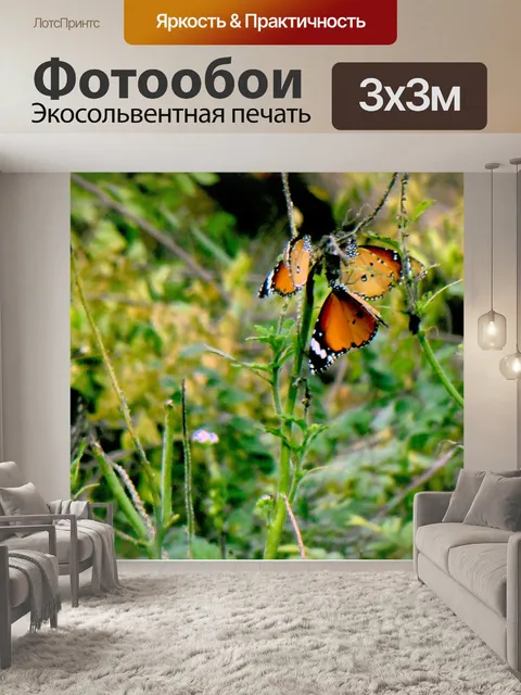 Фотообои Бабочки