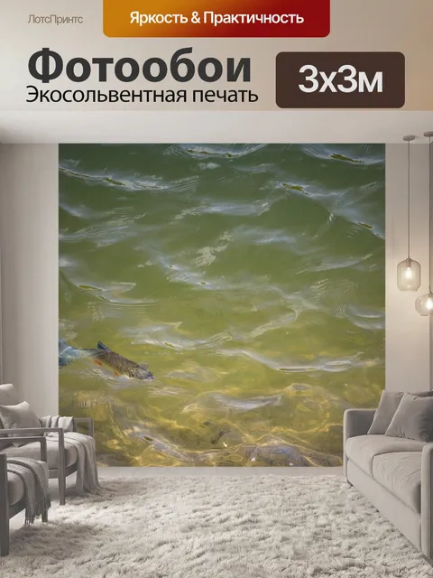 Фотообои Рыбы