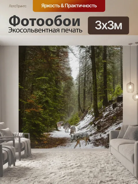 Фотообои Лес
