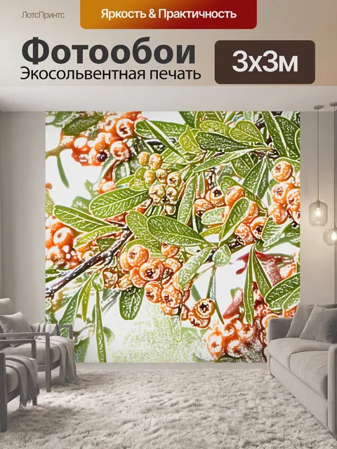 Фотообои Ягоды куст фон