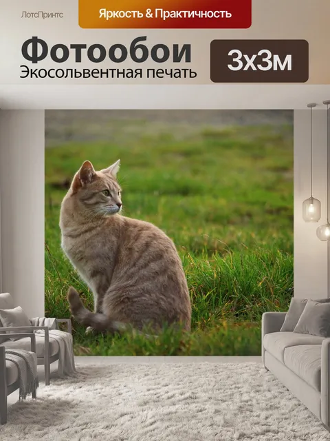 Фотообои Кот
